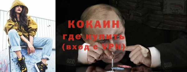 apvp Алексин