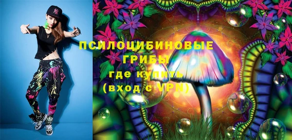 винт Абаза