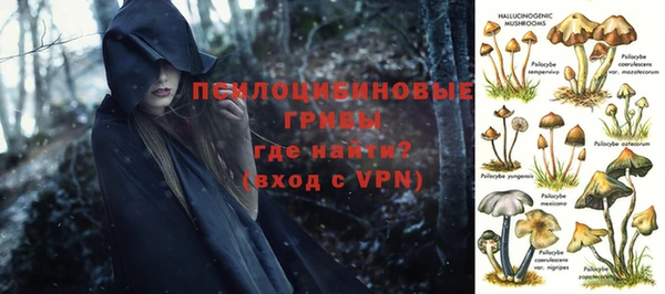 молекула духа Арсеньев